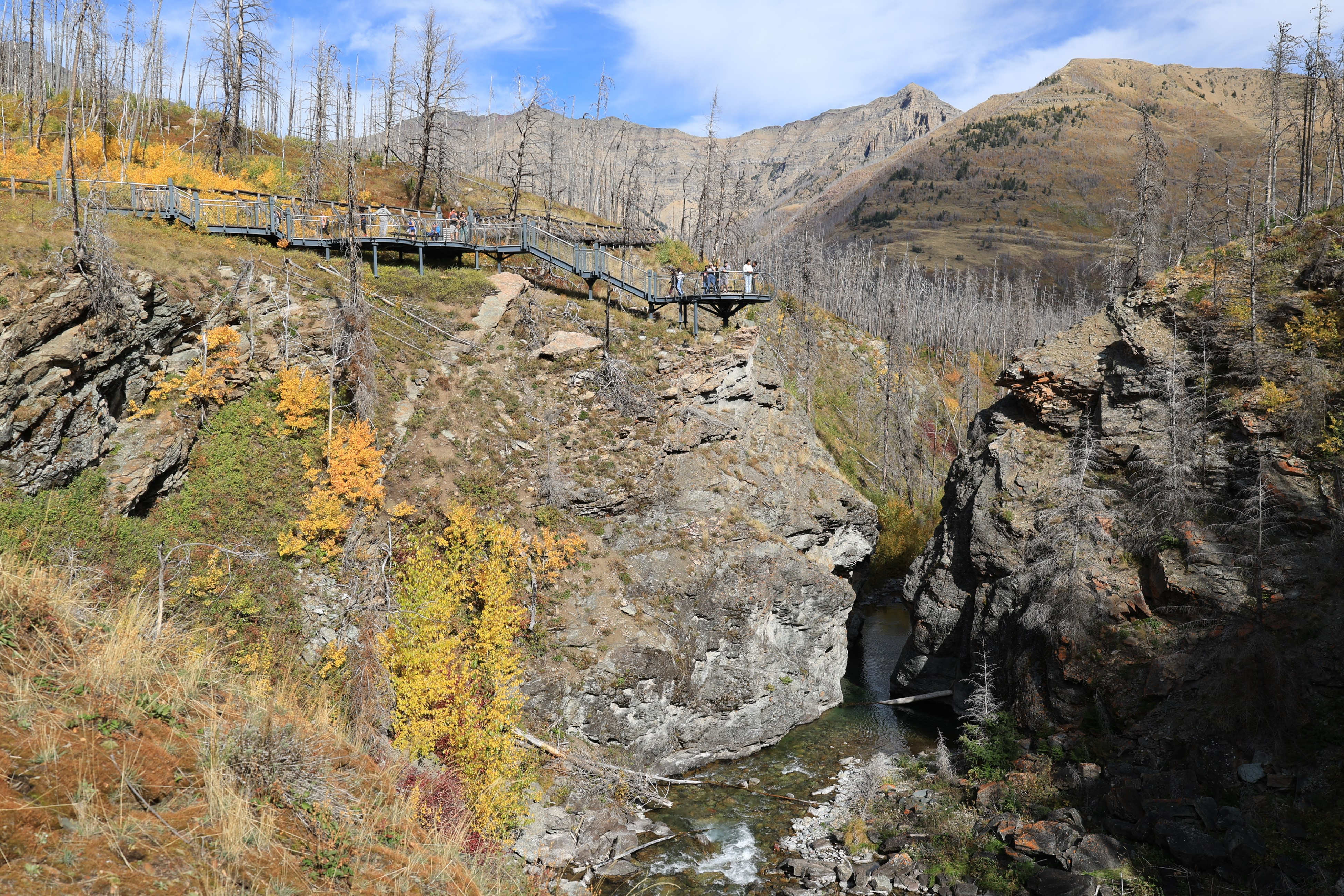 Blakiston Falls
